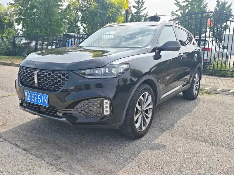 Wey VV6, 2019