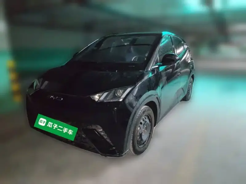 BYD Seagull, 2023