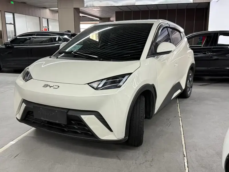 BYD Seagull, 2024