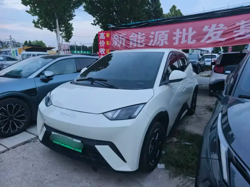 BYD Seagull, 2024