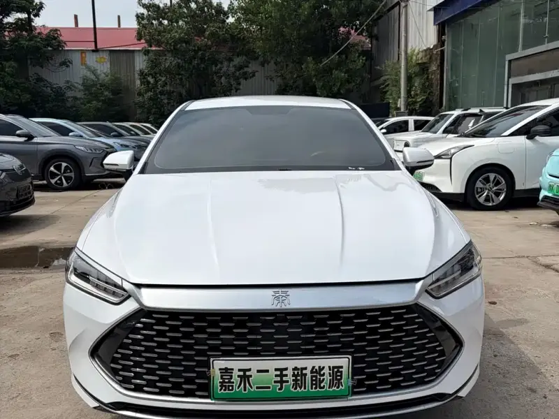BYD Qin PLUS, 2024