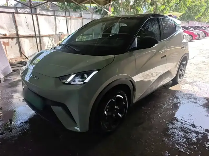 BYD Seagull, 2023