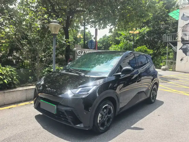 BYD Seagull, 2024