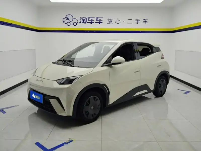 BYD Seagull, 2024