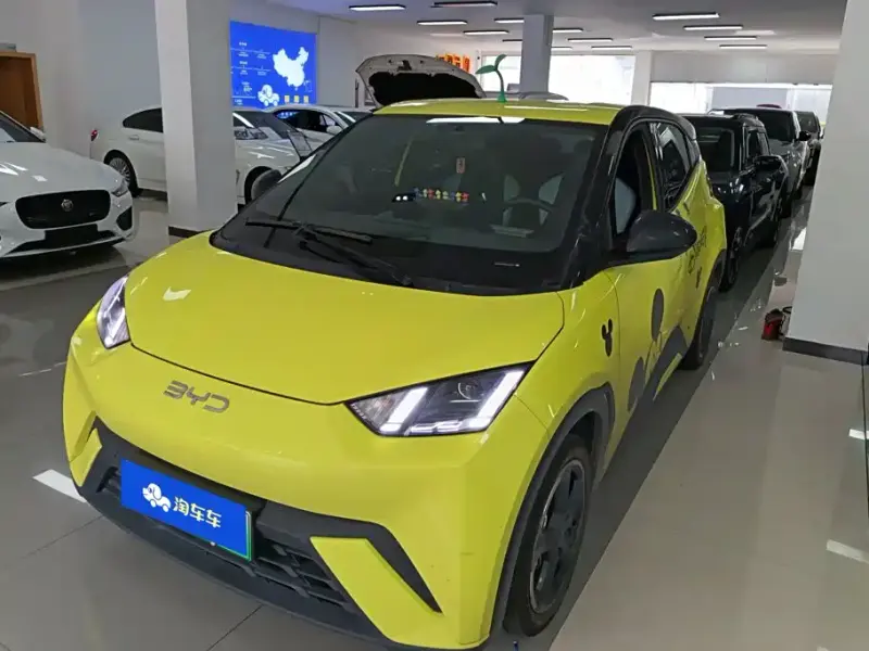 BYD Seagull, 2024