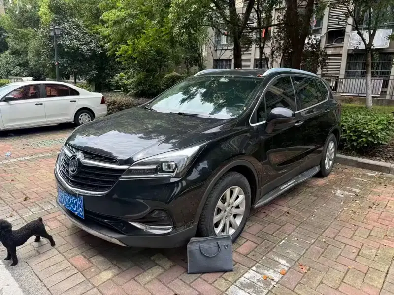Buick Envision Plus, 2020 — фото 1