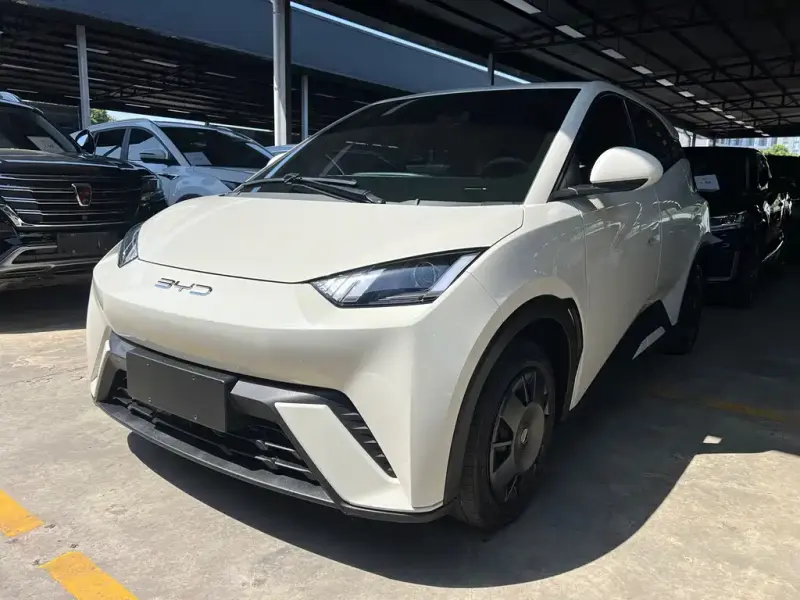 BYD Seagull, 2023