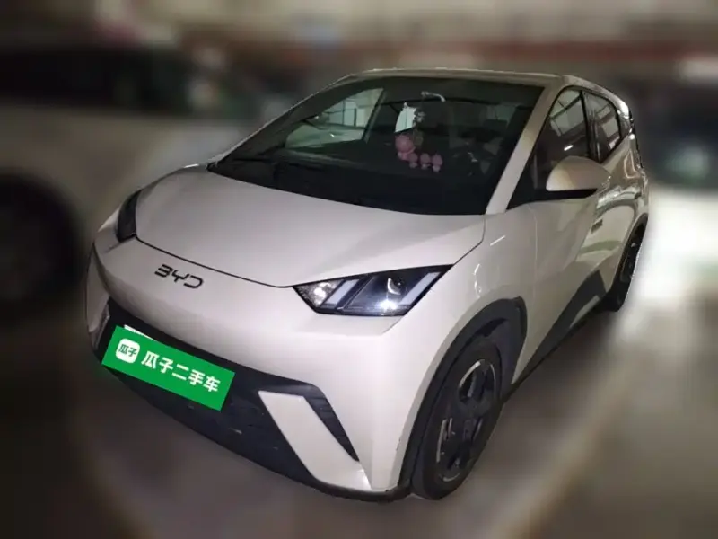 BYD Seagull, 2024