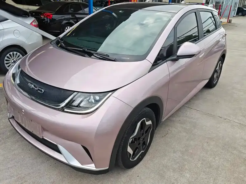 BYD Dolphin, 2022
