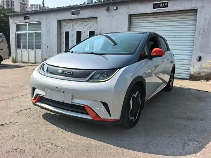 BYD Dolphin, 2022