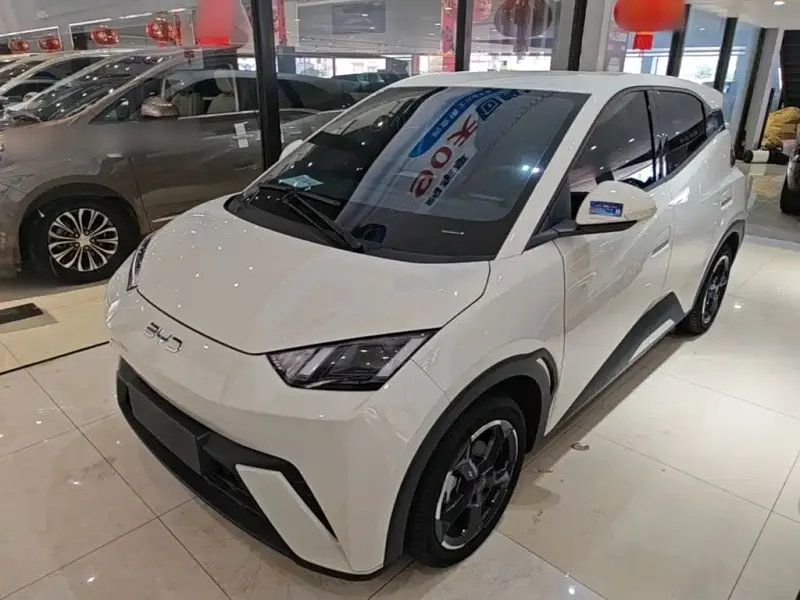 BYD Seagull, 2024