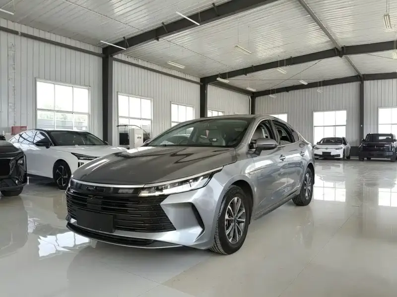 BYD Destroyer 05, 2024