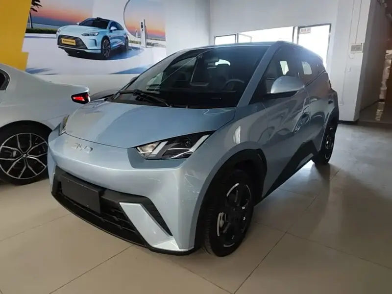 BYD Seagull, 2024