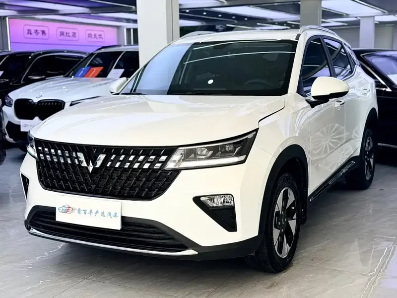 Wuling Xingchi, 2023