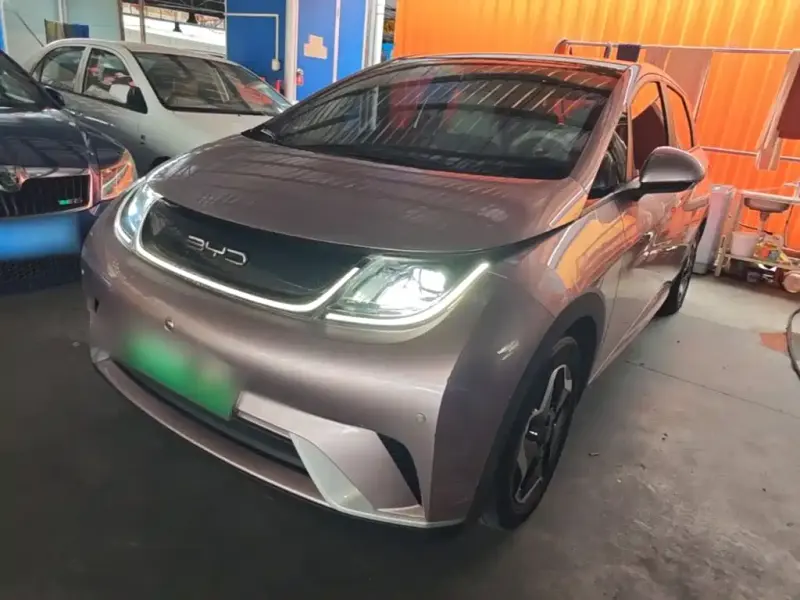 BYD Dolphin, 2022