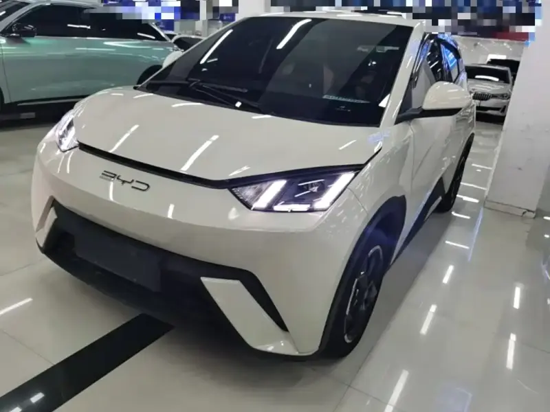 BYD Seagull, 2024