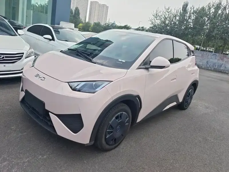 BYD Seagull, 2026