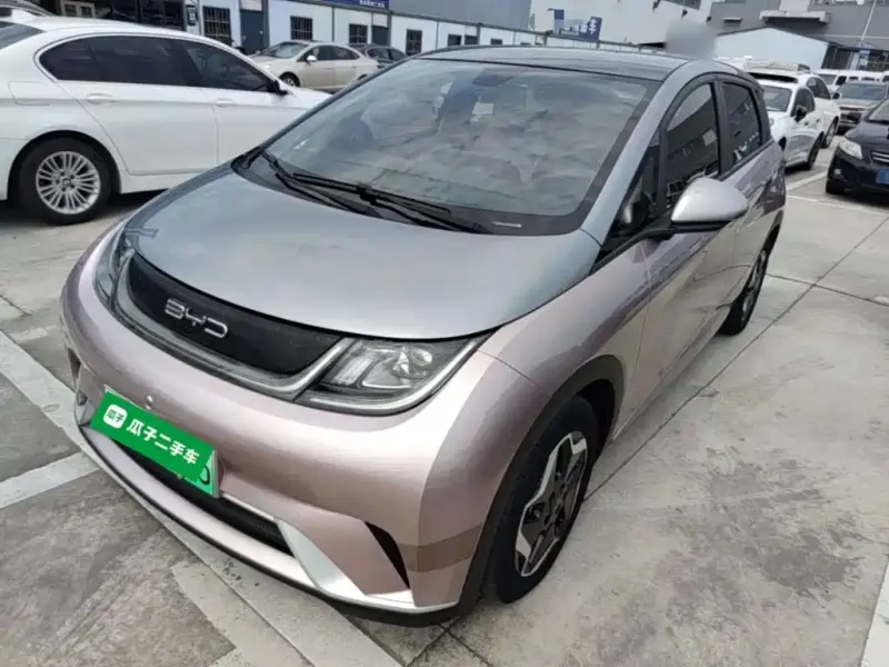 BYD Dolphin, 2022