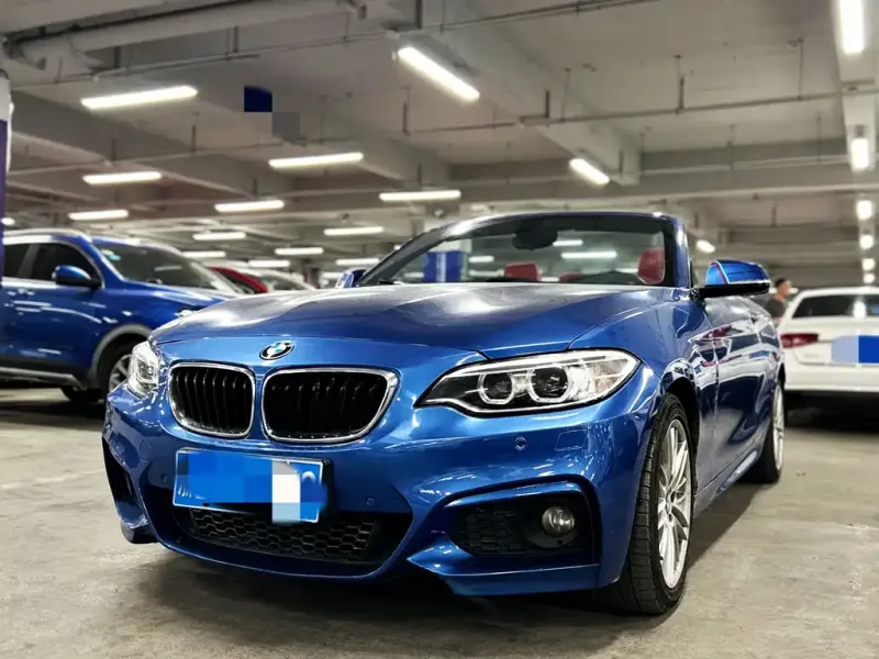 BMW 2 Series (Import), 2015