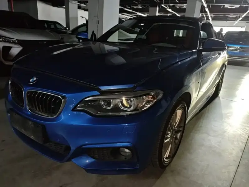BMW 2 Series (Import), 2015