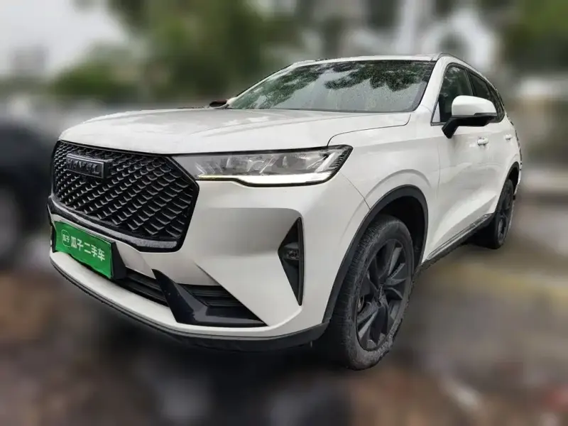 Haval H6, 2021