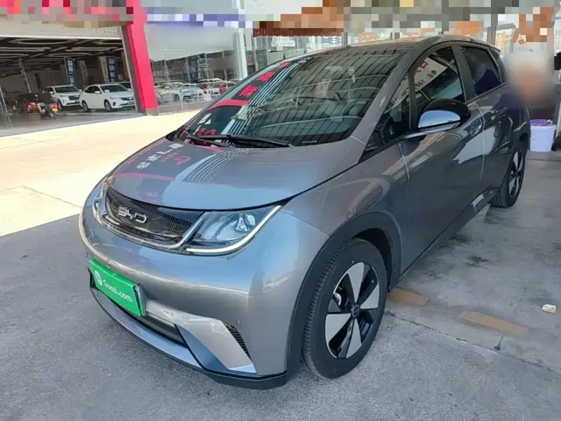 BYD Dolphin, 2024