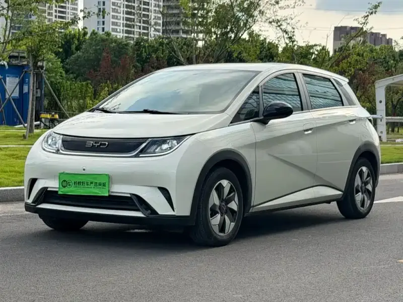 BYD Dolphin, 2024