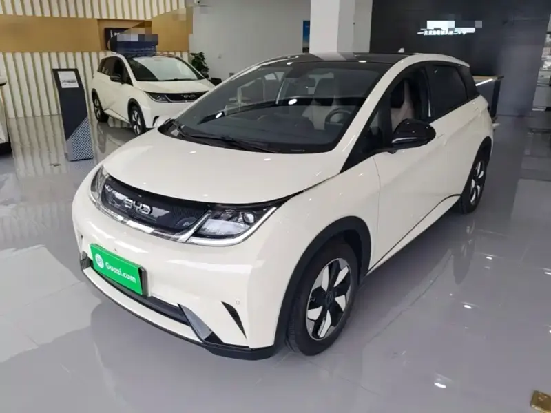 BYD Dolphin, 2024