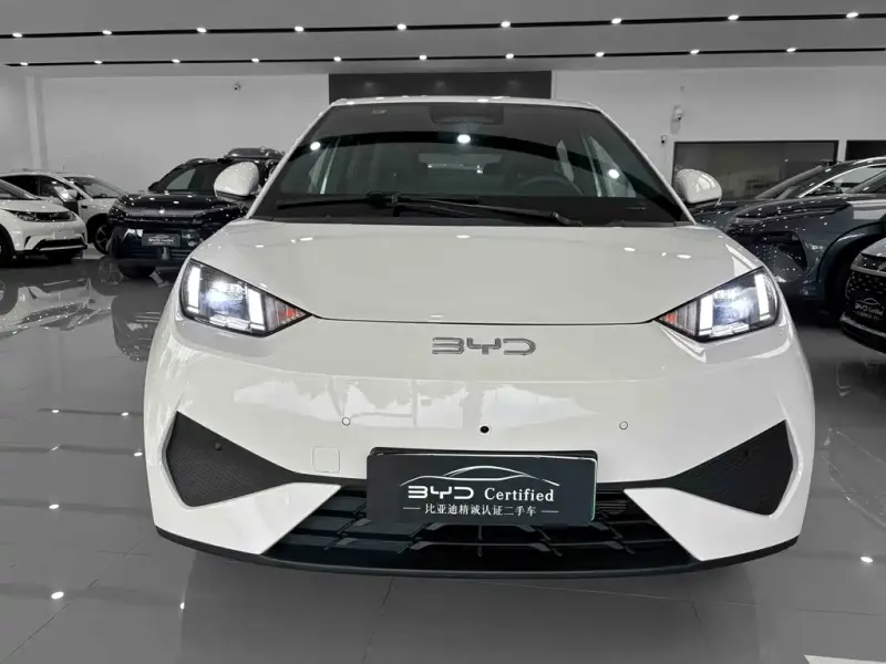 BYD Seagull, 2025
