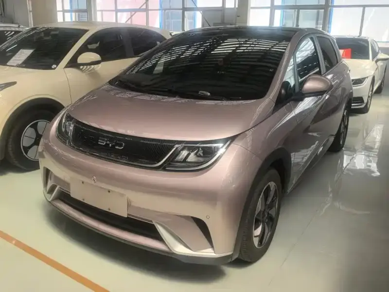 BYD Dolphin, 2024