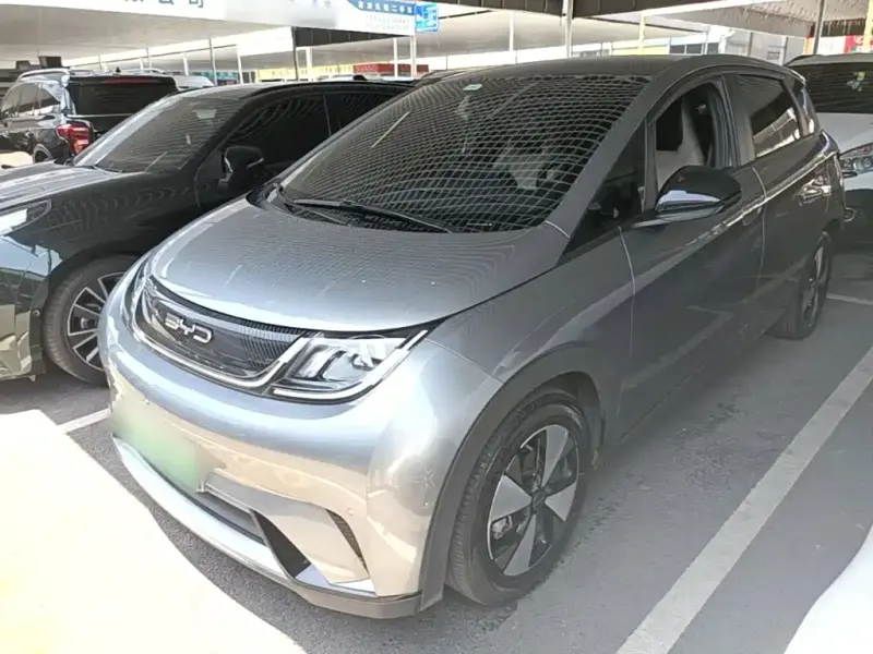 BYD Dolphin, 2024