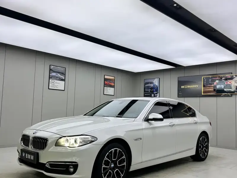BMW 5 Series, 2016 — фото 1
