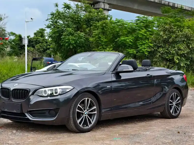 BMW 2 Series (Import), 2018