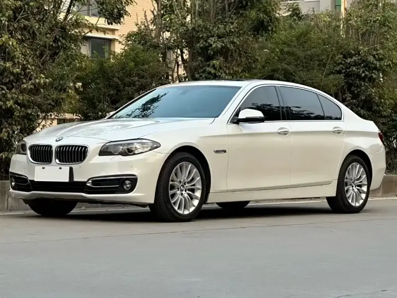 BMW 5 Series, 2014 — фото 1
