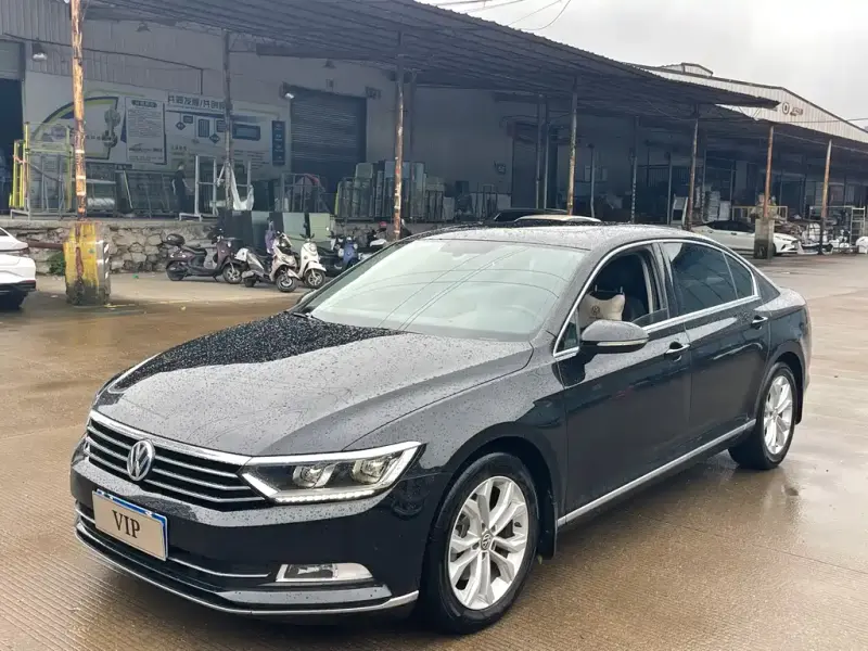 Volkswagen Magotan, 2019