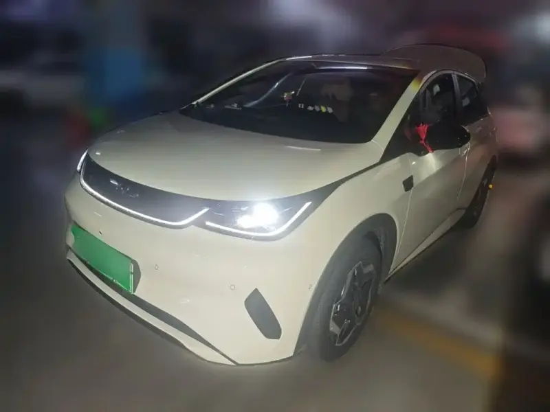 BYD Dolphin, 2026
