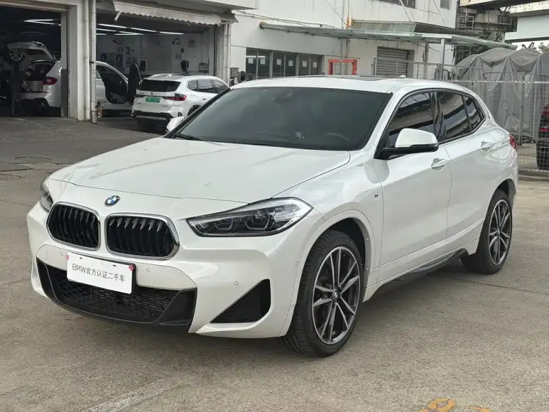 BMW X2, 2019 — фото 1