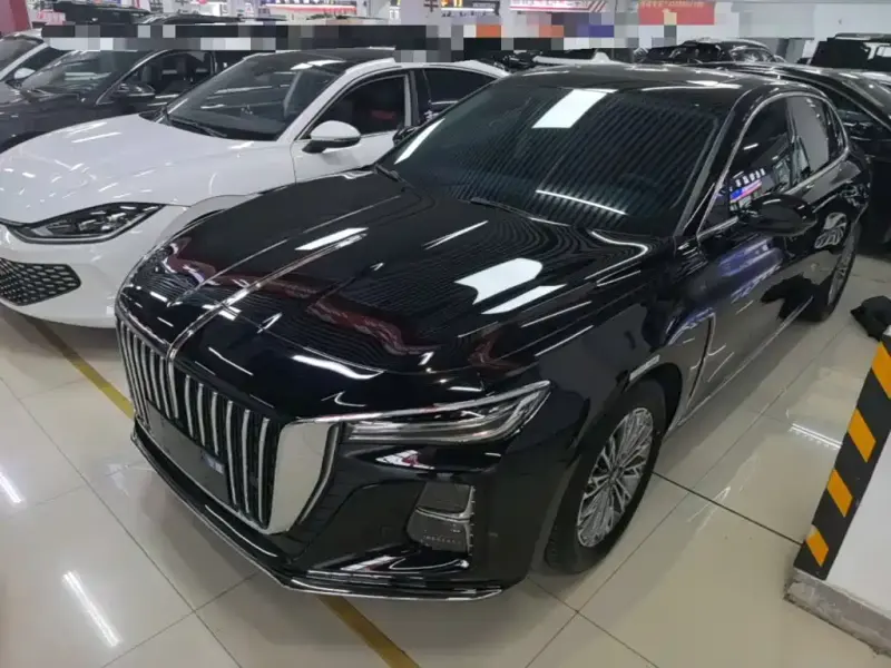 Hongqi H5, 2024