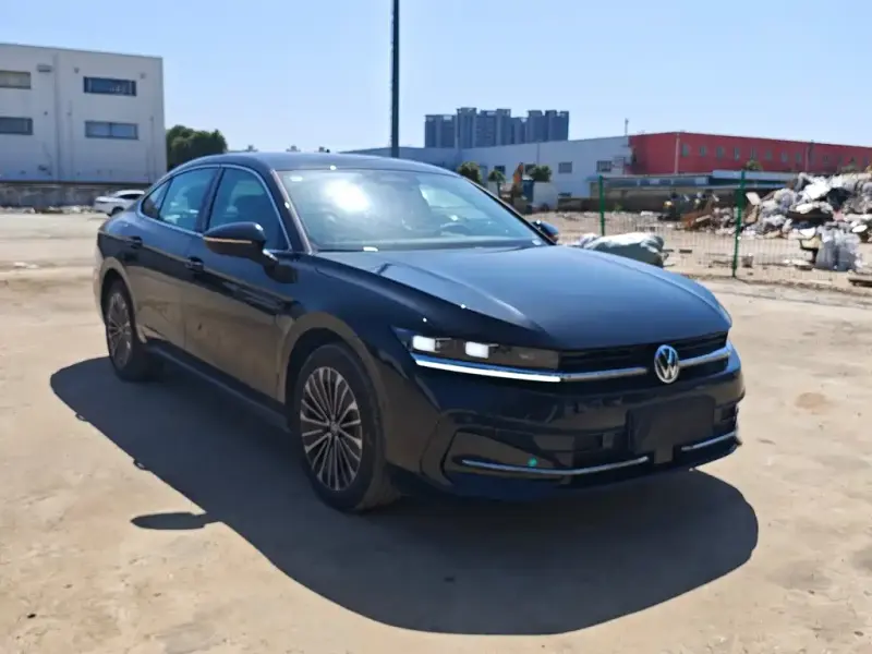 Volkswagen Magotan, 2024