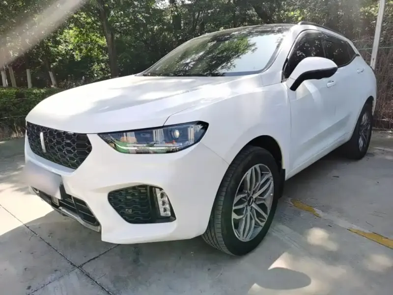 Wey VV5, 2017