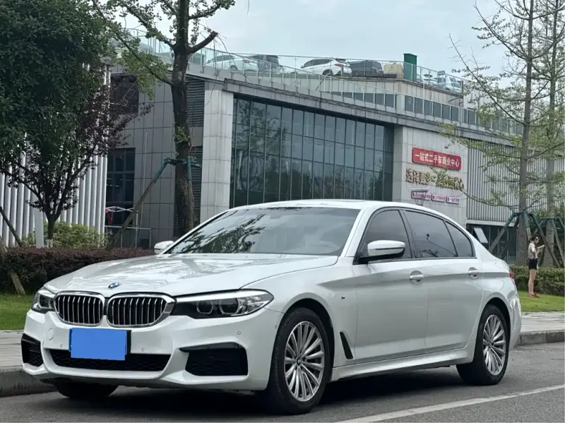 BMW 5 Series, 2019 — фото 1