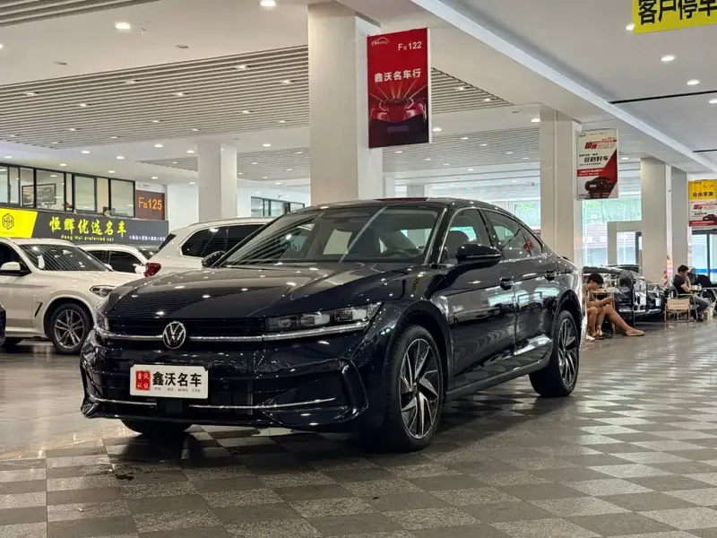 Volkswagen Magotan, 2024