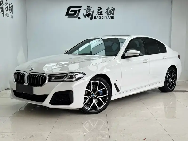 BMW 5 Series (Import), 2021 — фото 1