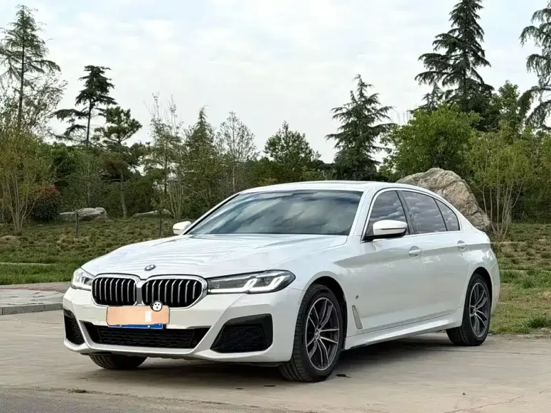 BMW 5 Series, 2021 — фото 1