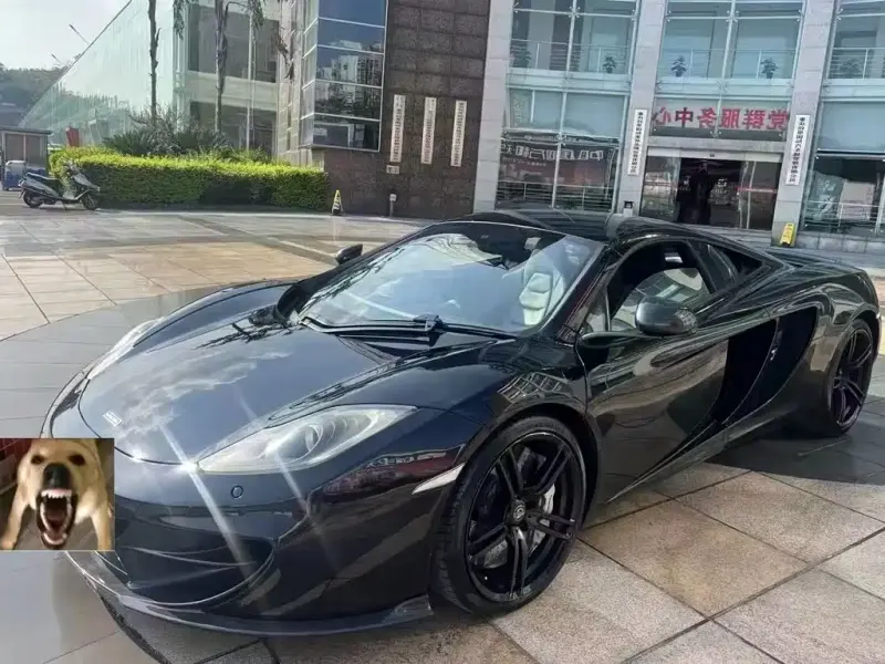 McLaren 12C, 2013