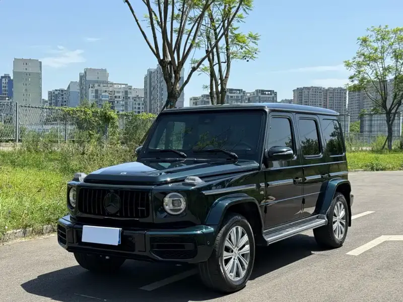 Mercedes-Benz G-Class, 2019 — фото 1