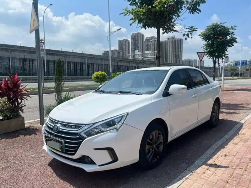 BYD Qin NEV, 2018 — фото 1