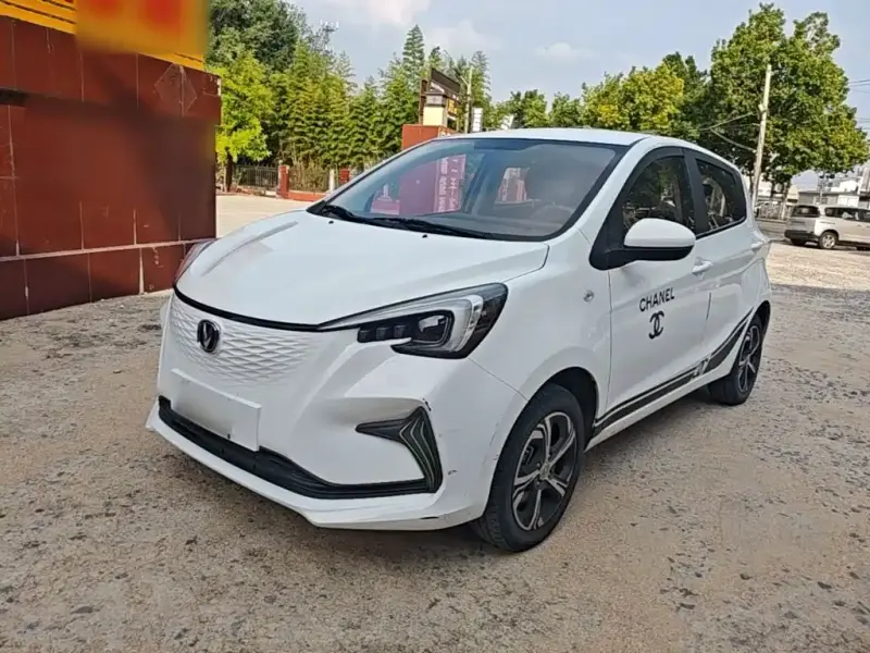 Changan Benben E-Star, 2020