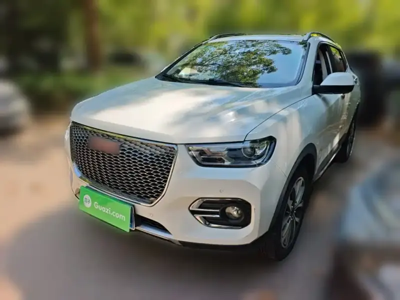 Haval H2s, 2018