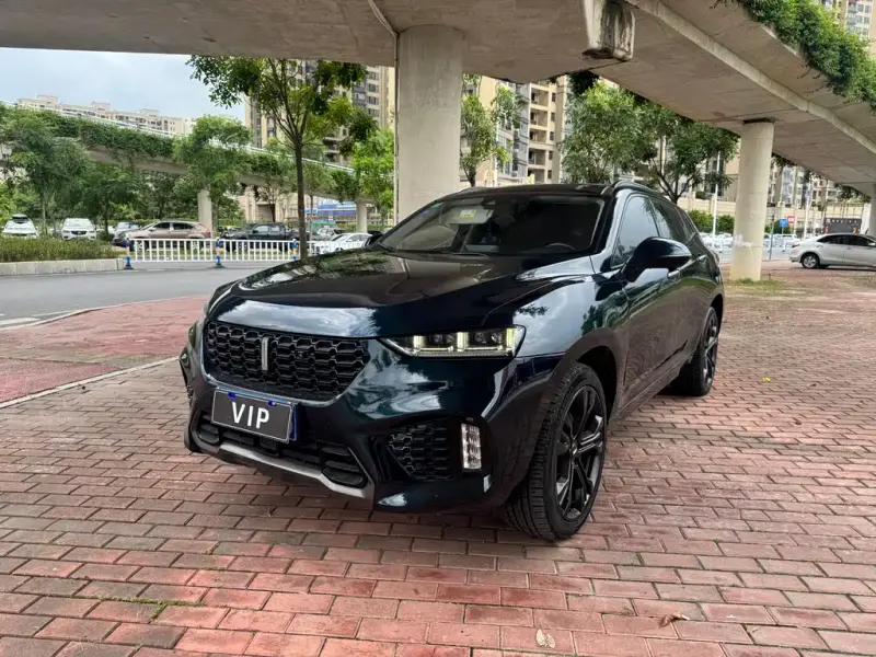 Wey VV7, 2019
